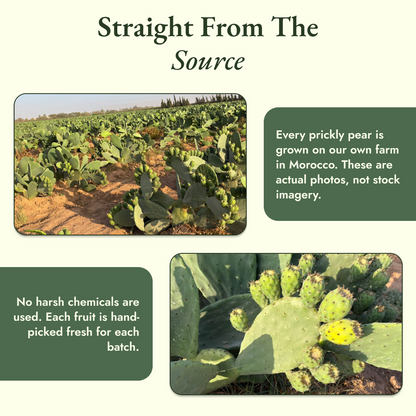 Prickly Pear Seed Oil